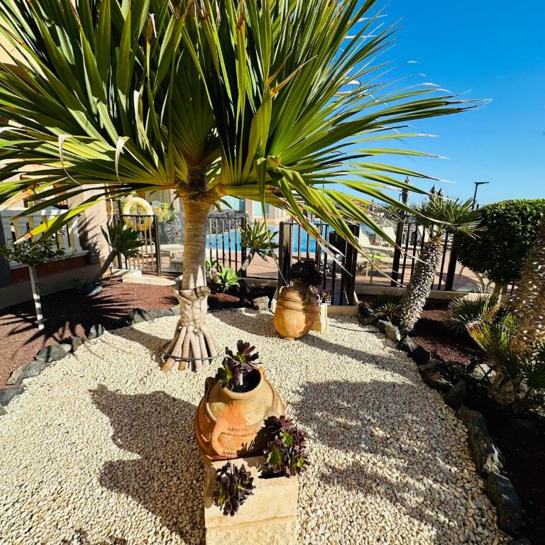 El Nautico Coral Suite - Oceanview Escape - Apartamento de 1 dormitorio - 53