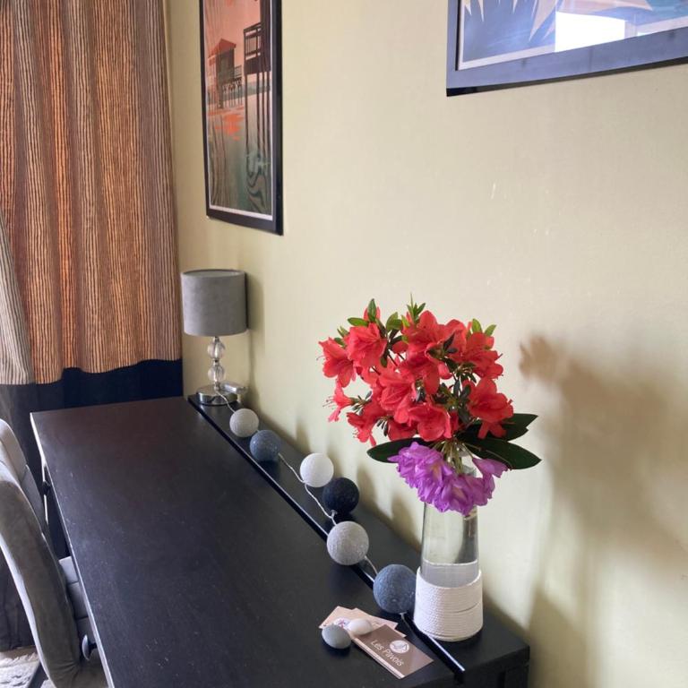 T2 dans quartier résidentiel sur le Bassin Arcachon avec location de vélos - Appartement 1 Chambre - 14