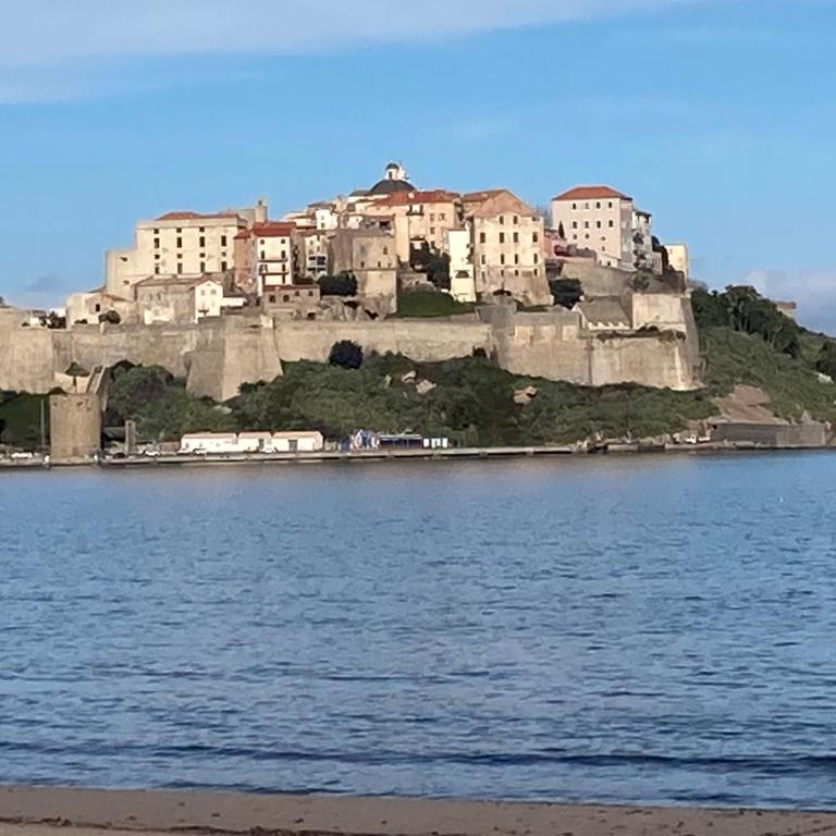 Appart'Calvi, 200 m de la plage de la Pinède, WIFI gratuit - Appartement 1 Chambre - 28