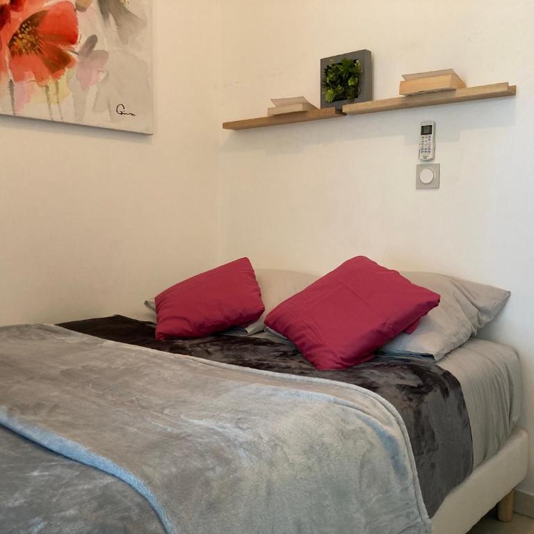 Appart'Calvi, 200 m de la plage de la Pinède, WIFI gratuit - Appartement 1 Chambre - 13