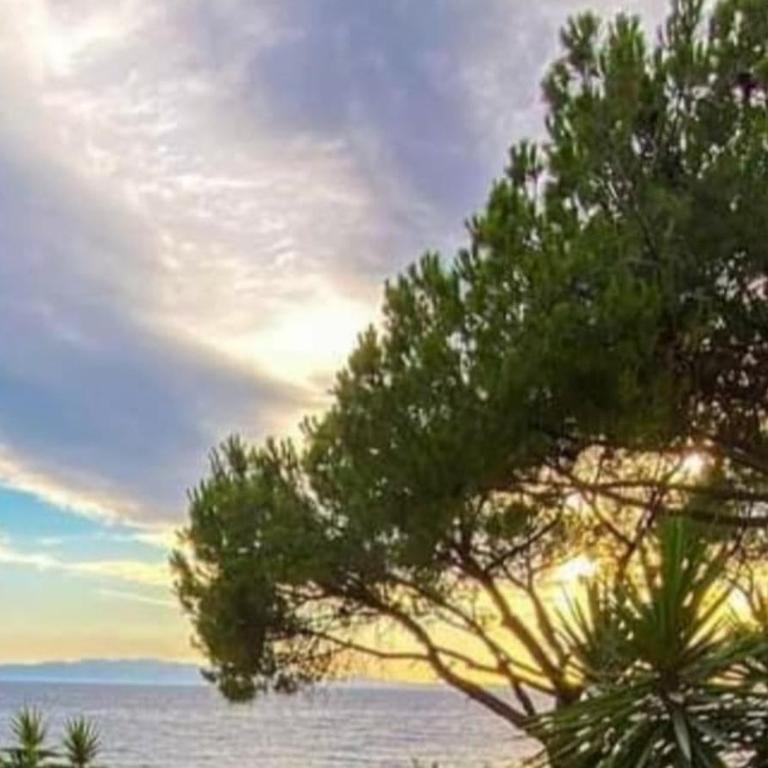 Sun Sea house - Appartamento con 1 Camera da Letto - 1