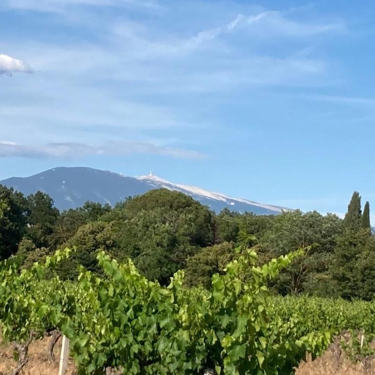 Pause spa sur la route du Ventoux adults only - Maison 1 Chambre - 47