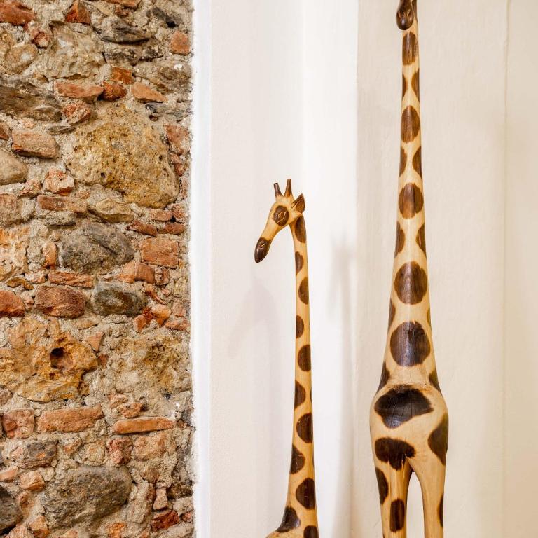Appartamento Le Giraffe - Pietrasanta Centro - Apartment - 5