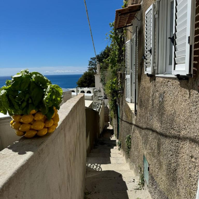 YourHome - Adoro Positano - Two-Bedroom House - 58