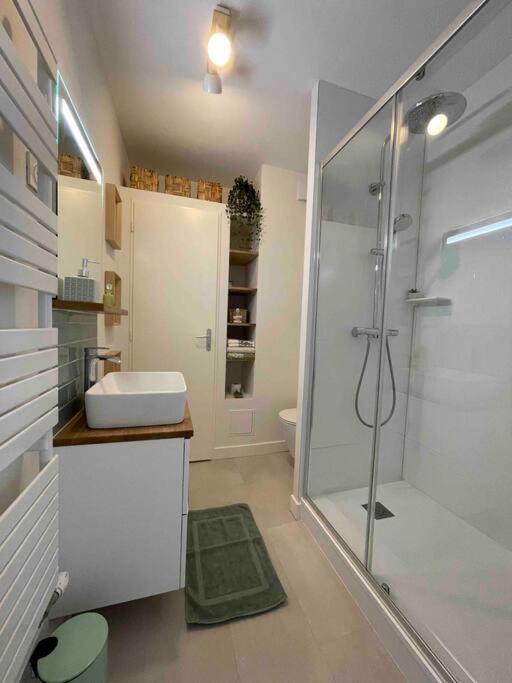 Cocon douillet près de la Gare. - Appartement 1 Chambre - 4