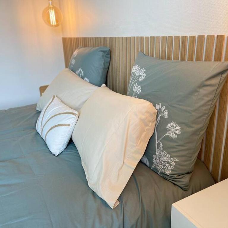 Cocon douillet près de la Gare. - Appartement 1 Chambre - 5