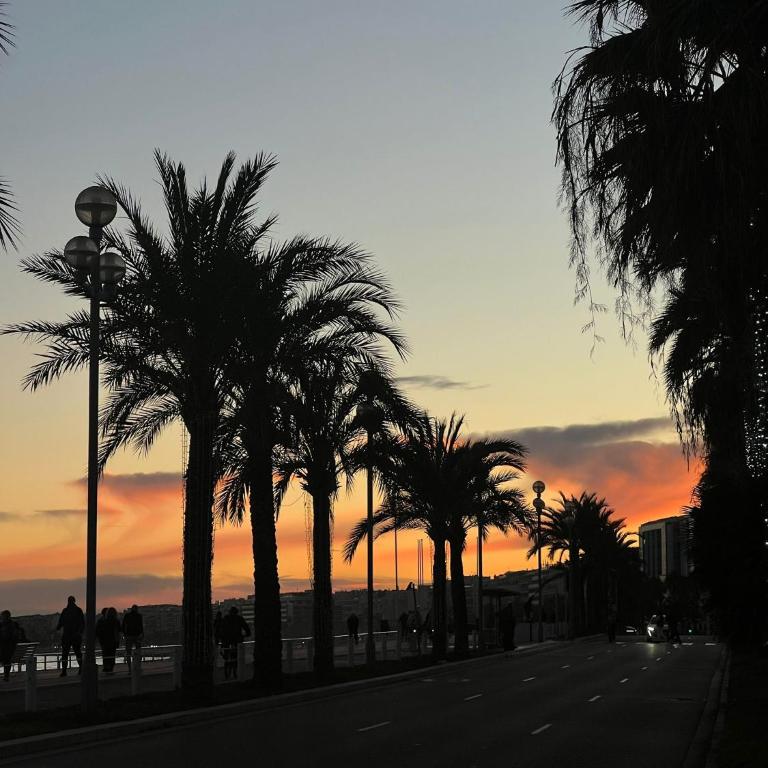Seaview Serenity Studio - Appartement 1 Chambre - 7