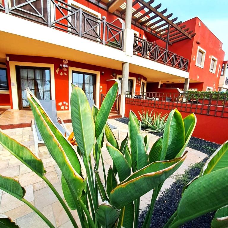 Buen Camino El Cotillo - Two-Bedroom Apartment - 18