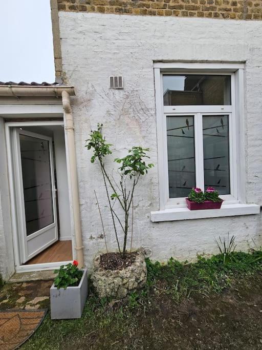 Studio avec jardin Rosendael proche plage - Apartment mit 1 Schlafzimmer - 22