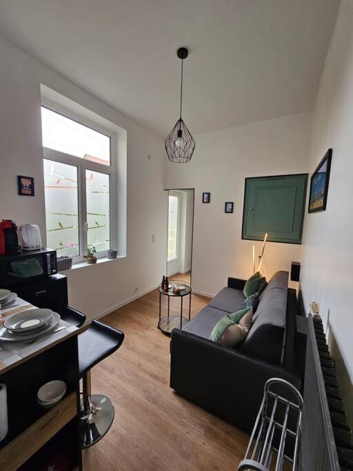 Studio avec jardin Rosendael proche plage - Apartment mit 1 Schlafzimmer - 25