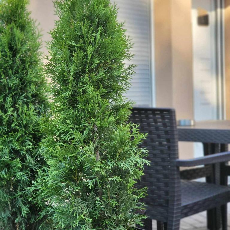 DUGA studio-apartman 2 - Studio Apartment - 36