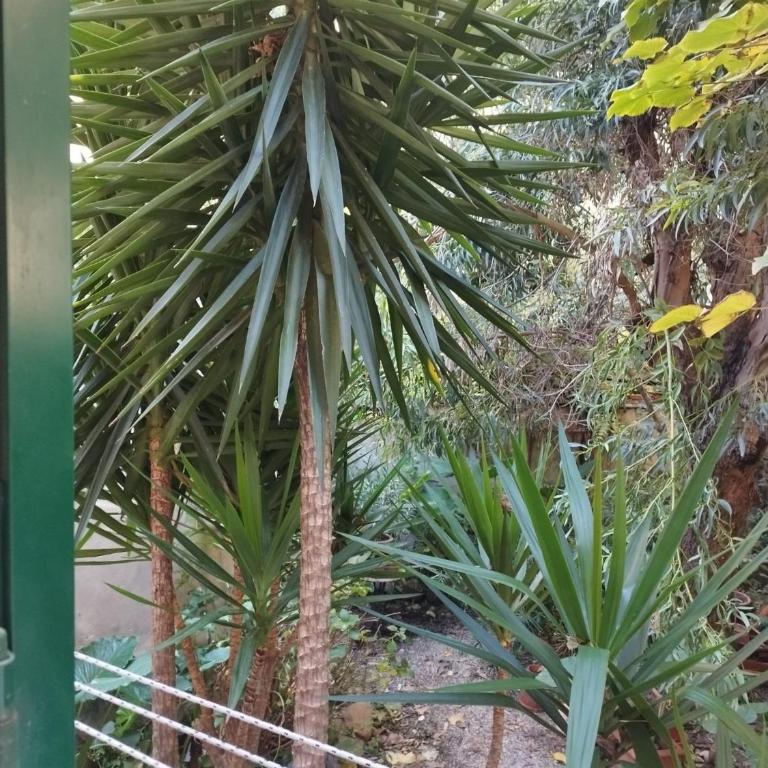 appartamento IL VICOLO la spezia cinque terre - Appartamento con 2 Camere da Letto - 44