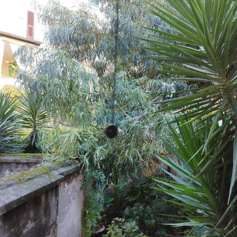 appartamento IL VICOLO la spezia cinque terre - Appartamento con 2 Camere da Letto - 46