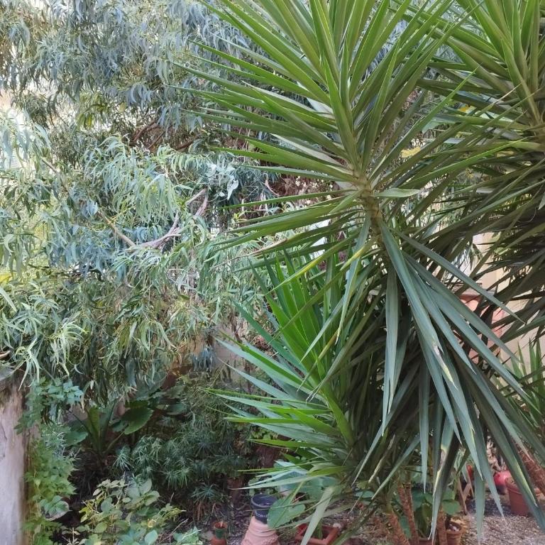 appartamento IL VICOLO la spezia cinque terre - Appartamento con 2 Camere da Letto - 45