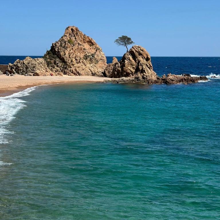 Ático con Vistas al Mar a un Paso del Centro - Apartamento de 2 dormitorios - 36