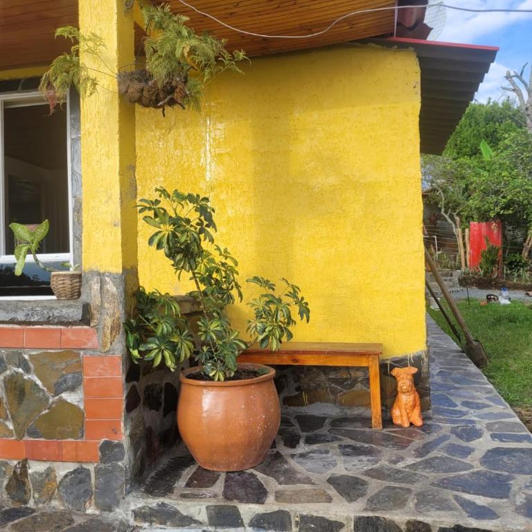 Alojamiento EL GITANO - Casa de 3 dormitorios - 31