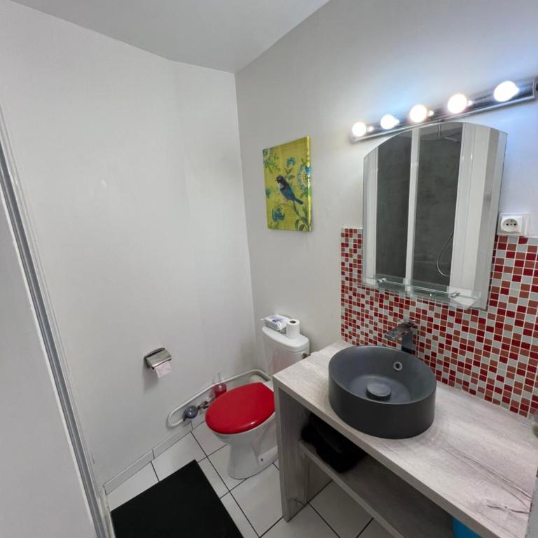 beau studio centre ville et proche gare - Appartement 1 Chambre - 12