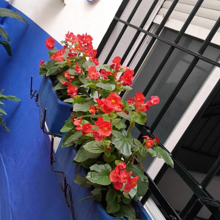 Puerta Sevilla PARKING GRATIS - Two-Bedroom Apartment - 45