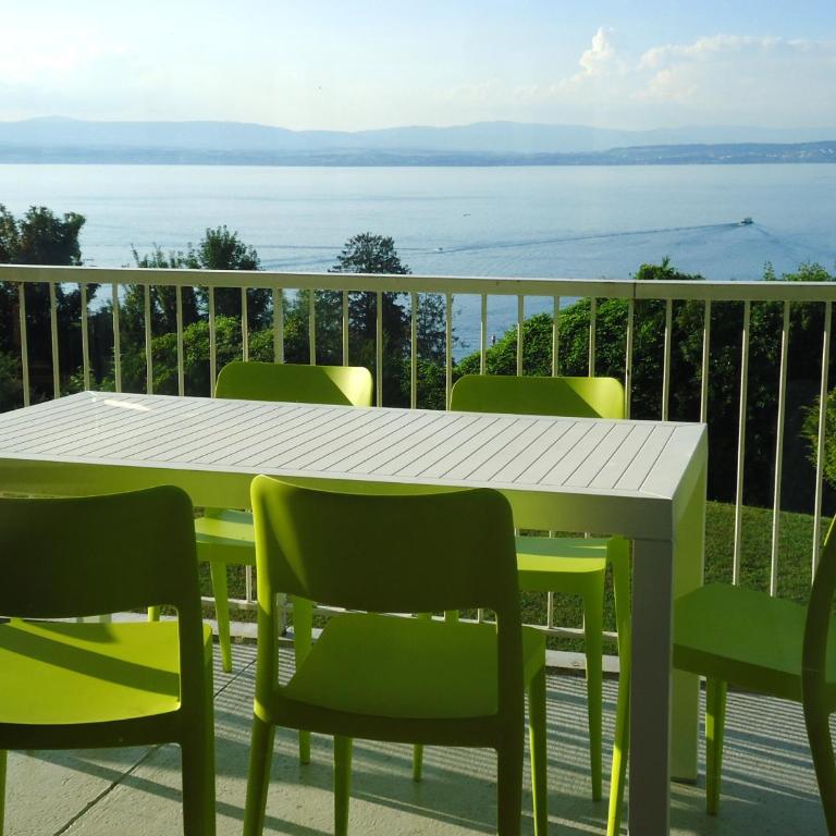 Evian villa with Lake Geneva views in 1960 mid-century modern style - Villa - 18