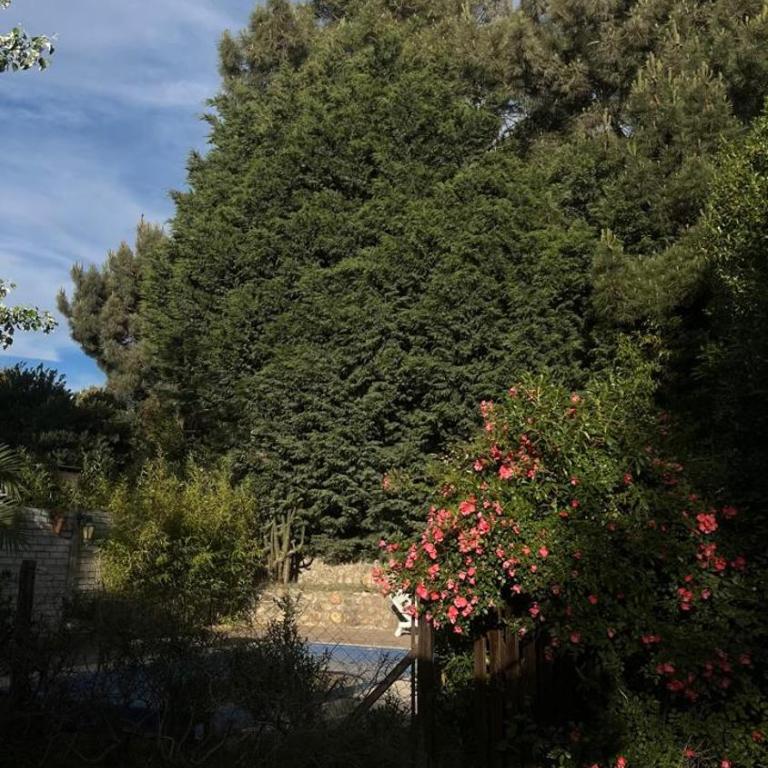 Casa Monte - Casa de 3 dormitorios - 15