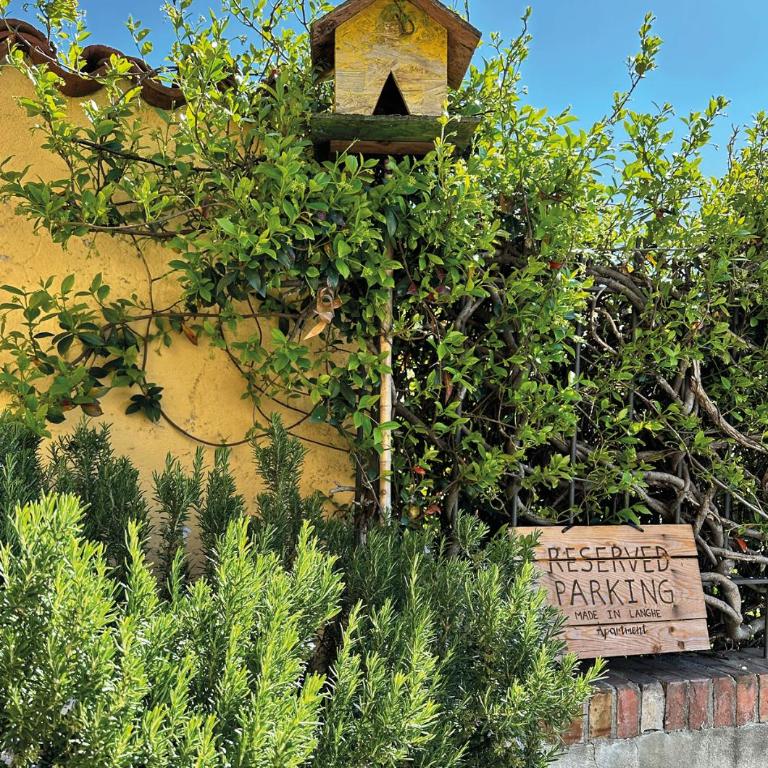 Made in Langhe Apartment - Appartamento - 14