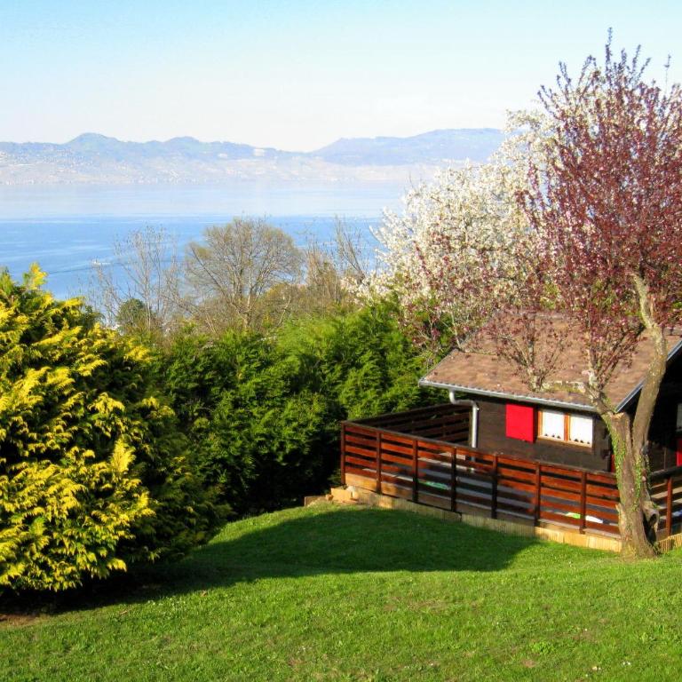 Evian villa with Lake Geneva views in 1960 mid-century modern style - Villa - 51