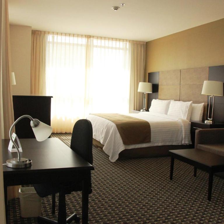 Holiday Inn Mexico Santa Fe by IHG - Suite con cama extragrande - 5