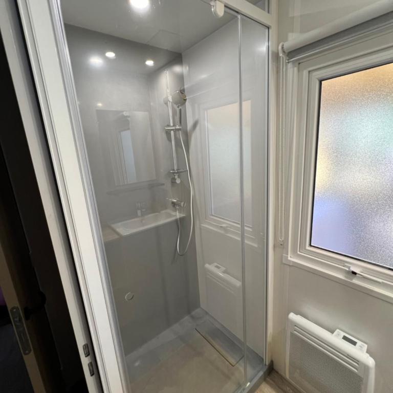 La cabane des pins - Mobile Home - 6