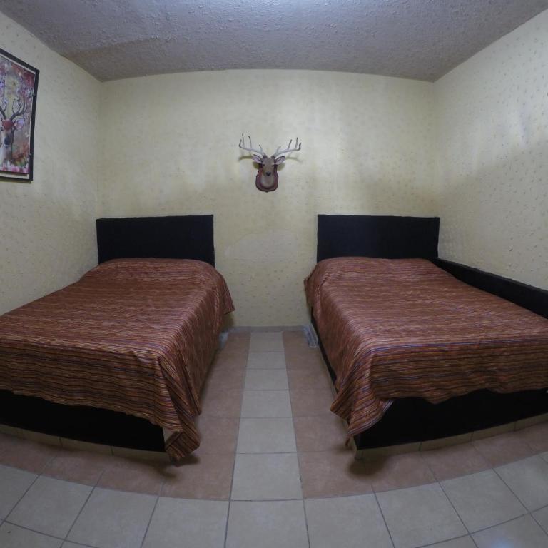 Hospedaje La Mexicana - Habitación Doble Estándar con 2 camas grandes - 3