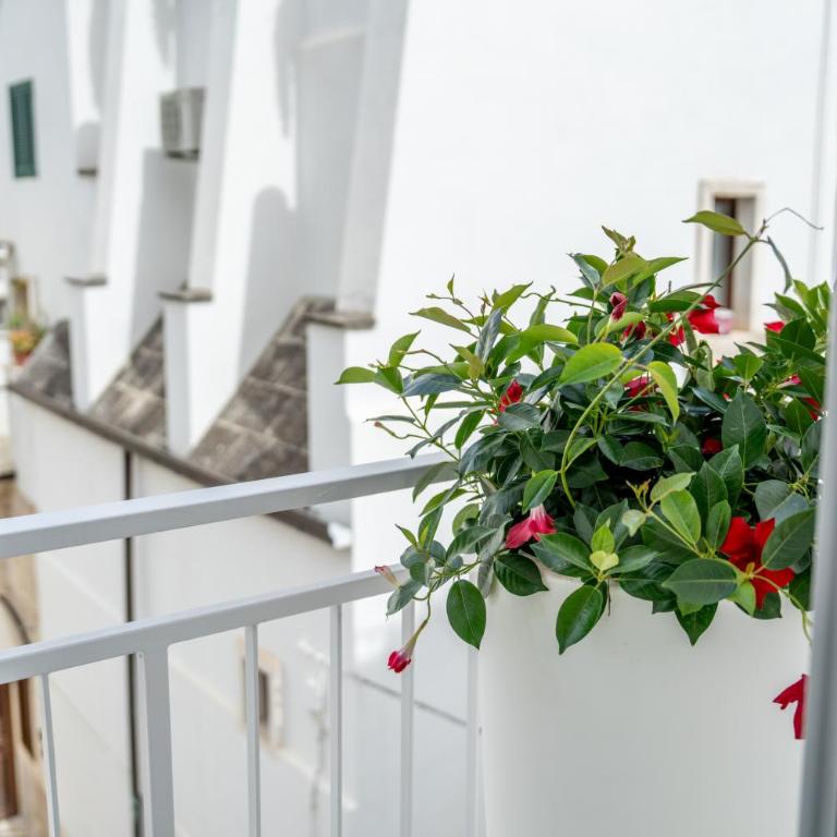 Innesto Rooms - Monopoli - Camera Queen con Vasca Idromassaggio - 14