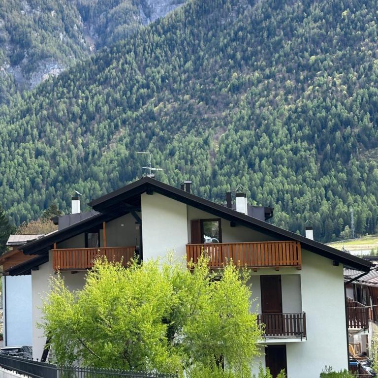 Val di Sole Apartment - Appartamento con 1 Camera da Letto - 35