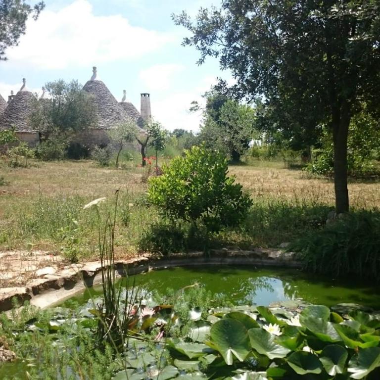 Trullo nel bosco, lungo il sentiero escursionistico ciclabile dell'acquedotto pugliese - Casa Vacanze - 16