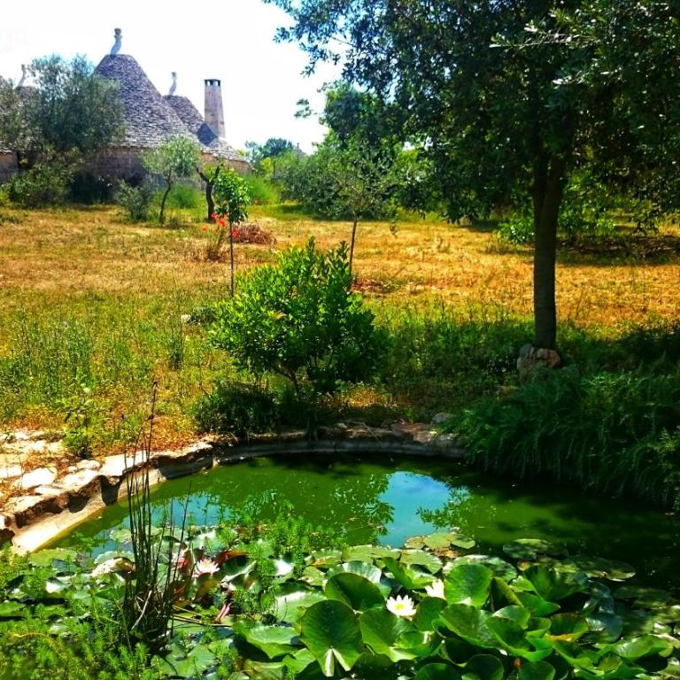 Trullo nel bosco, lungo il sentiero escursionistico ciclabile dell'acquedotto pugliese - Casa Vacanze - 15