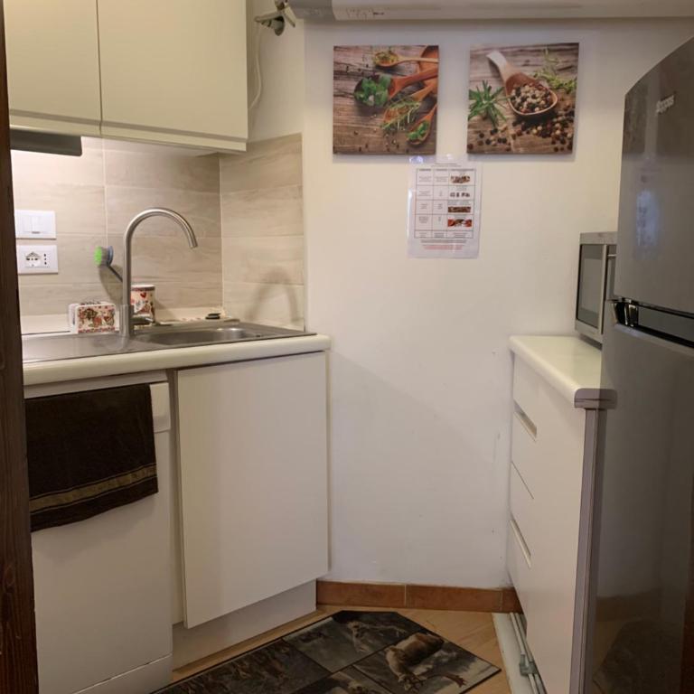 SPINALE casa in centro, arrivi con gli sci! SANIFICAZIONE A VAPORE - Appartamento con Vista Giardino - 11