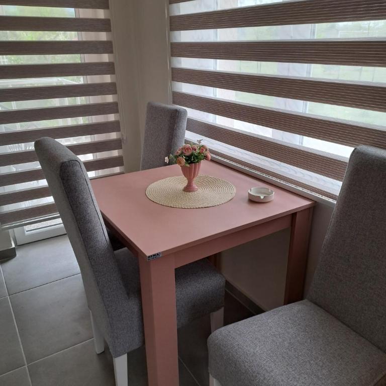 Apartmani Manić - Studio - 2