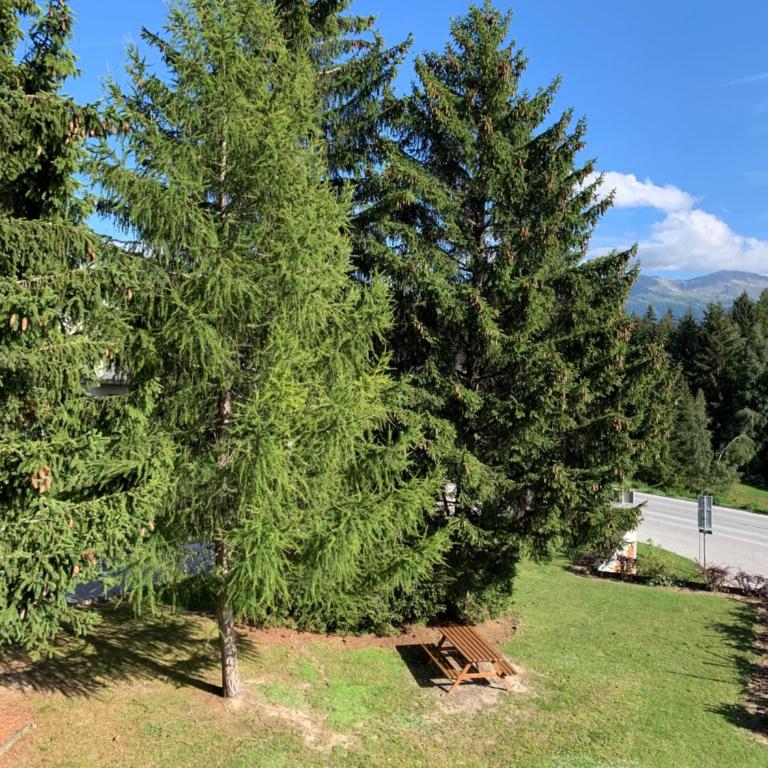 La Jacinthe de Crans - Appartement 2 Chambres - 58