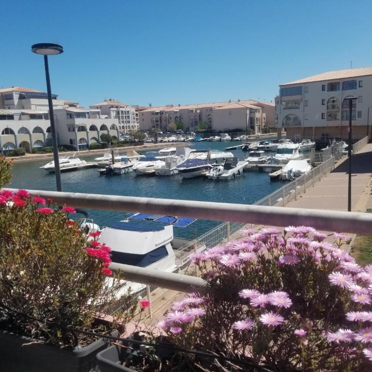Sète Marina des Quilles, grand T2 climatisé, proche plage, parking privé - Appartement 1 Chambre - 5