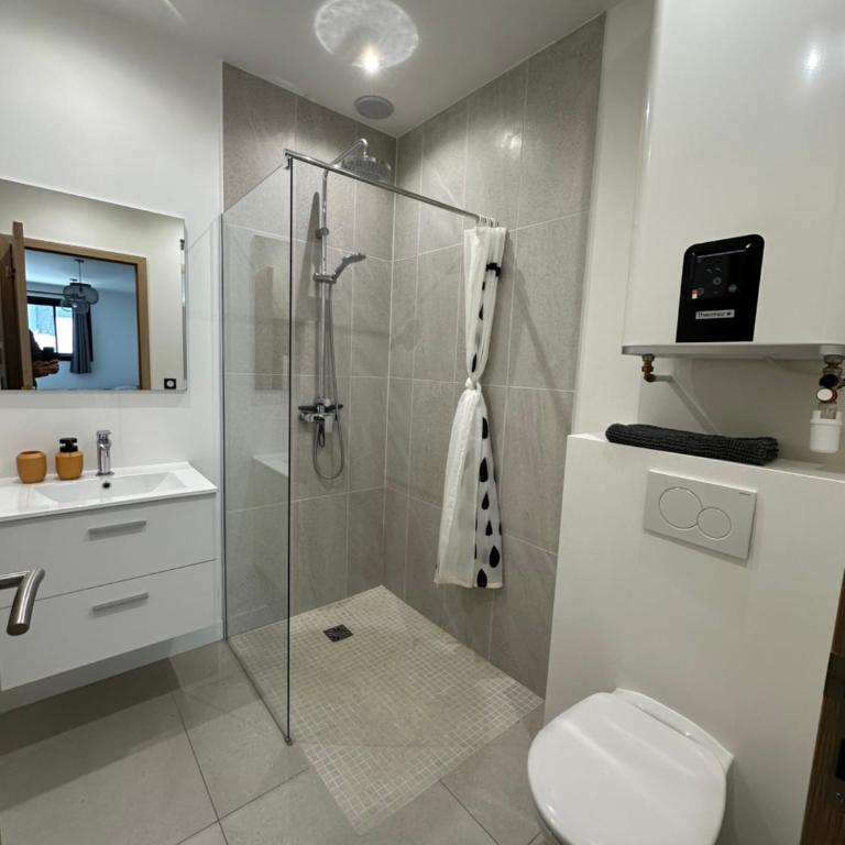 Grand studio rénové proche mer ! - Appartement 1 Chambre - 15