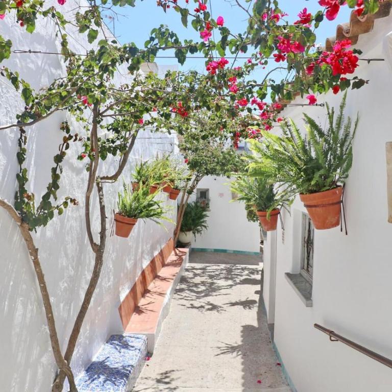 Complejo La Chanca, HAB 12 - Apartamento - 6