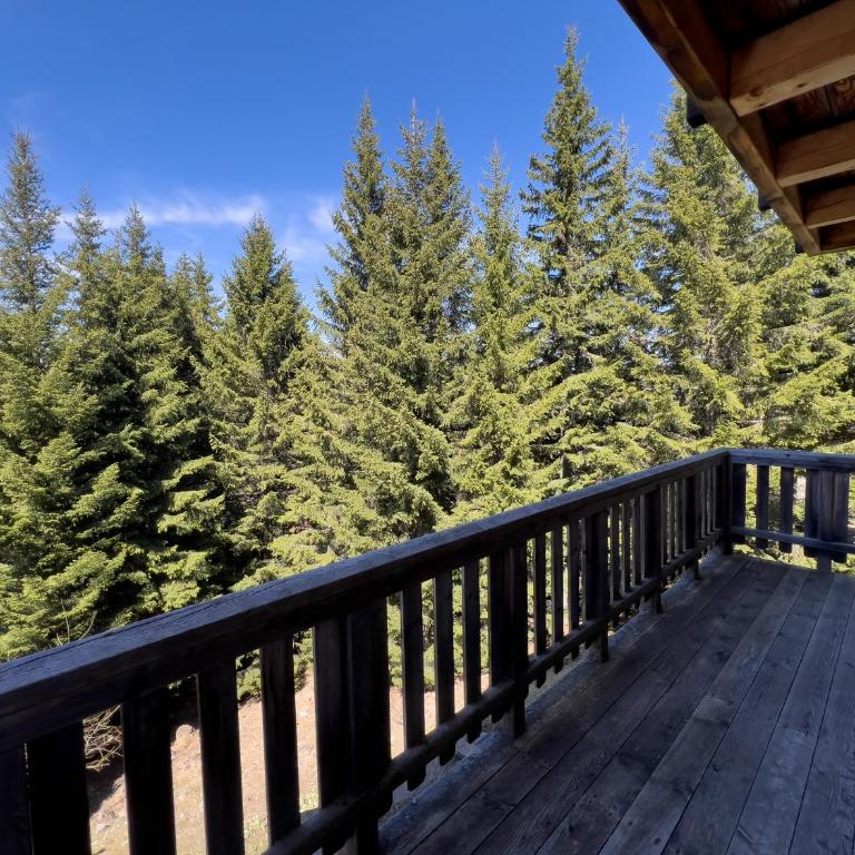 1A Chalet Enzianhuette - Wandern und Indoor Sauna - Chalet mit 3 Schlafzimmern - 51