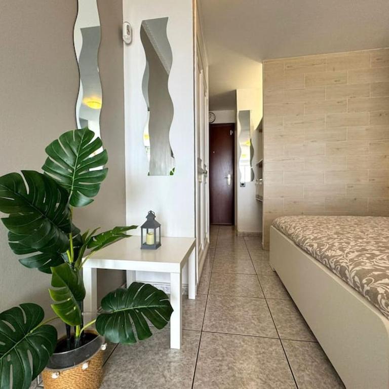 Palm Garden Apartment - Apartamento de 1 dormitorio - 14