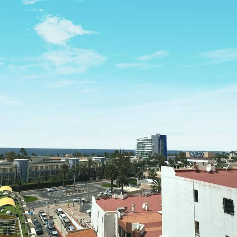Palm Garden Apartment - Apartamento de 1 dormitorio - 19