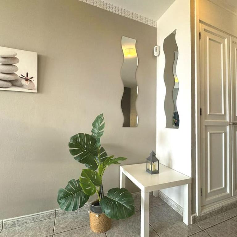 Palm Garden Apartment - Apartamento de 1 dormitorio - 23