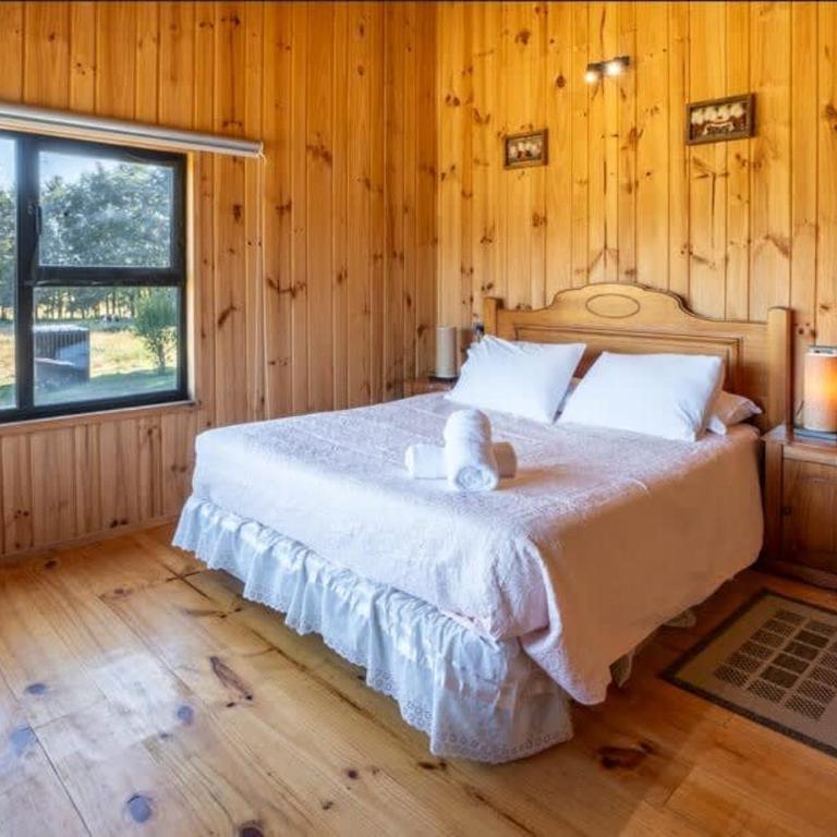 Villarrica Cabin 2BR with Fireplace and terrace - Apartamento - 13