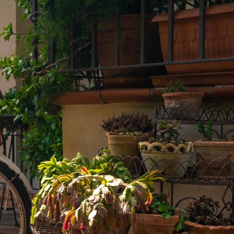 Guest House Antichi Ulivi - Appartamento con 2 Camere da Letto - 23