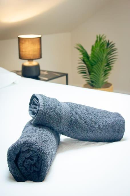 Le douillet : Duplex élégant en Centre ville - Appartamento con 2 Camere da Letto - 19