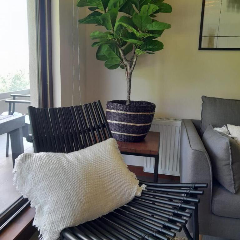 HOM I Espectacular Depto 2D2B Frente al Lago y Parking - Apartamento - 20
