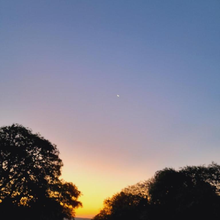 Cabañas PLÉYADES - One-Bedroom House - 18