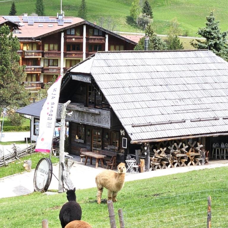 Deluxe Panorama Apartment-Maibrunn-Alm - Apartment mit 2 Schlafzimmern - 27
