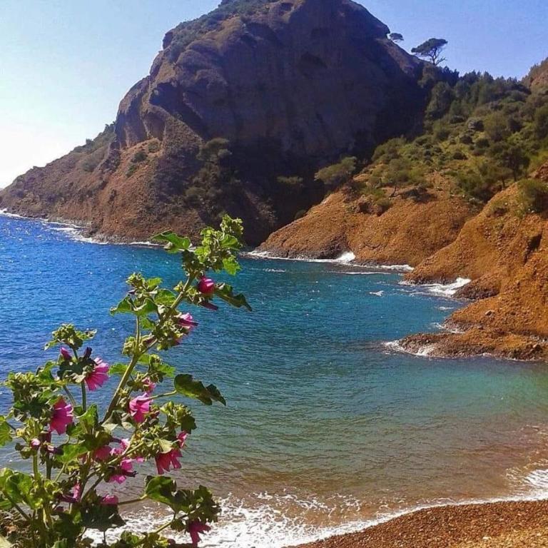 Villa Andalucia - Villa with Sea View - 44